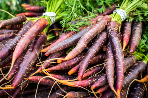 The image of Purple Carrots