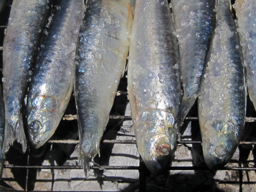 The image shows fishes sprinkled with salt