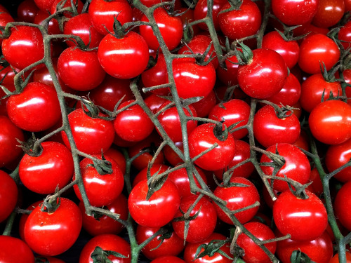 The image shows the pile of Cherry tomato