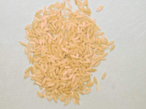 The image shows a pile of Orzo pasta 
