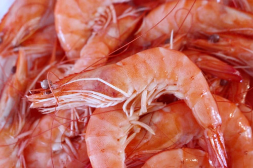 This image exhibits a pile of Pink shrimp