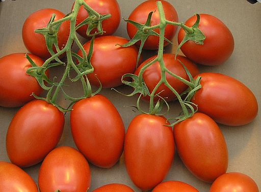 The image shows the pile of Roma Tomatoes